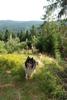 2009-08-15_ntb_4975