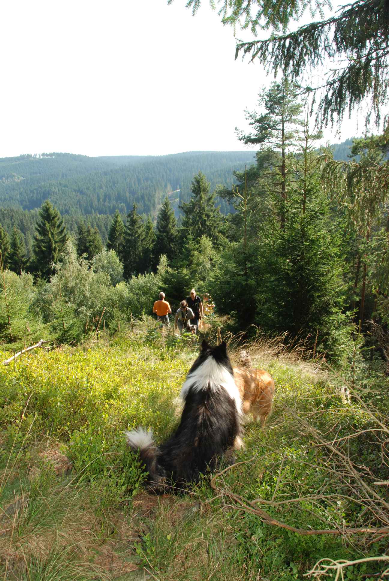 2009-08-15_ntb_4976