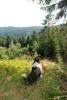 2009-08-15_ntb_4976