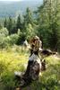 2009-08-15_ntb_4977