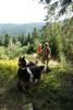 2009-08-15_ntb_4978
