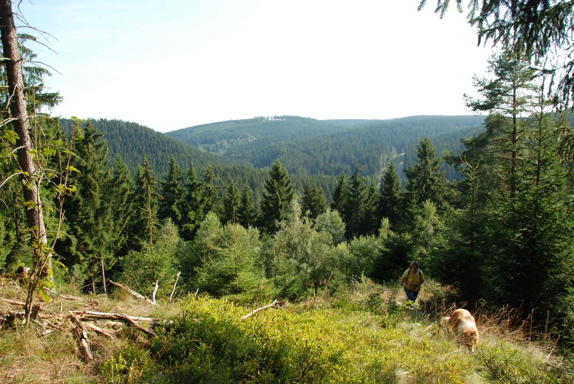 2009-08-15_ntb_4981
