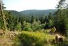 2009-08-15_ntb_4983