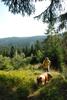2009-08-15_ntb_4984