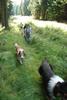2009-08-15_ntb_4986