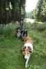 2009-08-15_ntb_4987