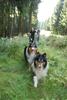 2009-08-15_ntb_4988