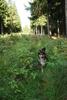 2009-08-15_ntb_4990