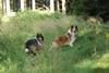 2009-08-15_ntb_4992