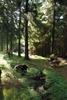 2009-08-15_ntb_4993