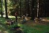 2009-08-15_ntb_4994