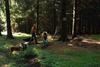 2009-08-15_ntb_4995