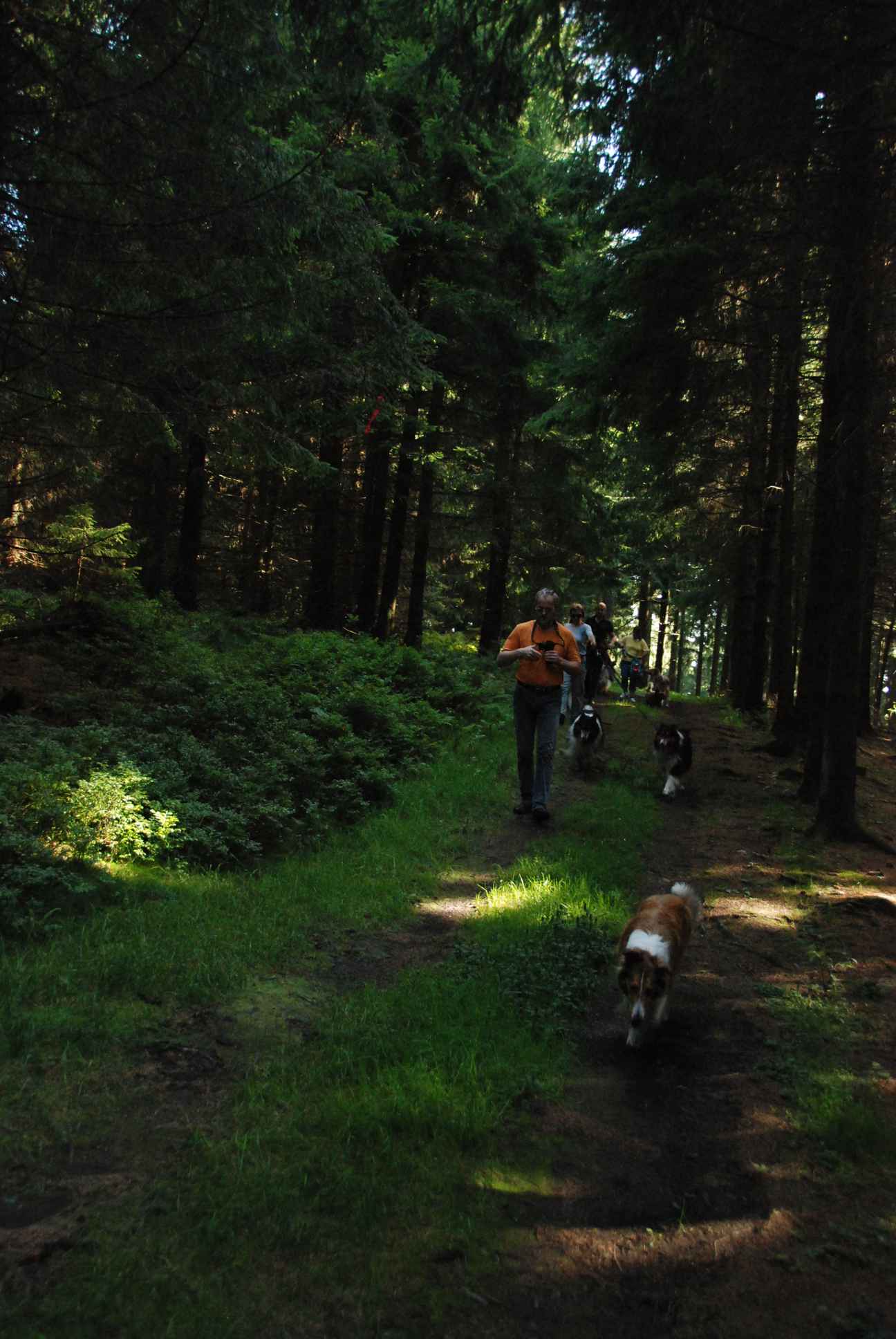 2009-08-15_ntb_4996