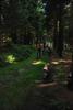 2009-08-15_ntb_4997