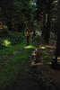 2009-08-15_ntb_4998