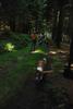 2009-08-15_ntb_4999