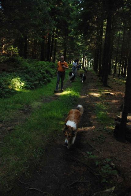 2009-08-15_ntb_4999