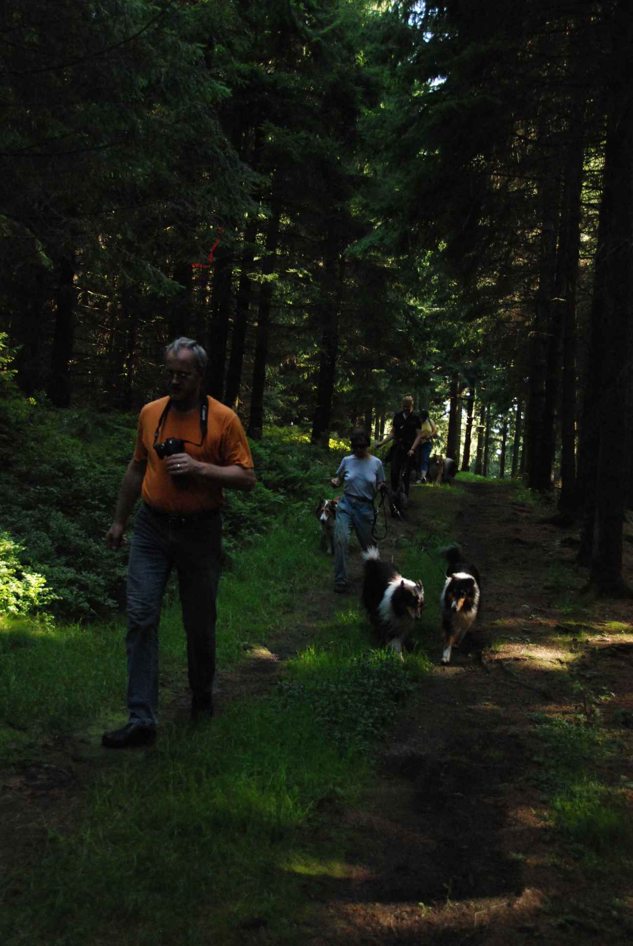 2009-08-15_ntb_5002