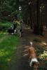 2009-08-15_ntb_5006