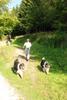 2009-08-15_ntb_5018