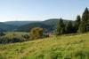 2009-08-15_ntb_5022
