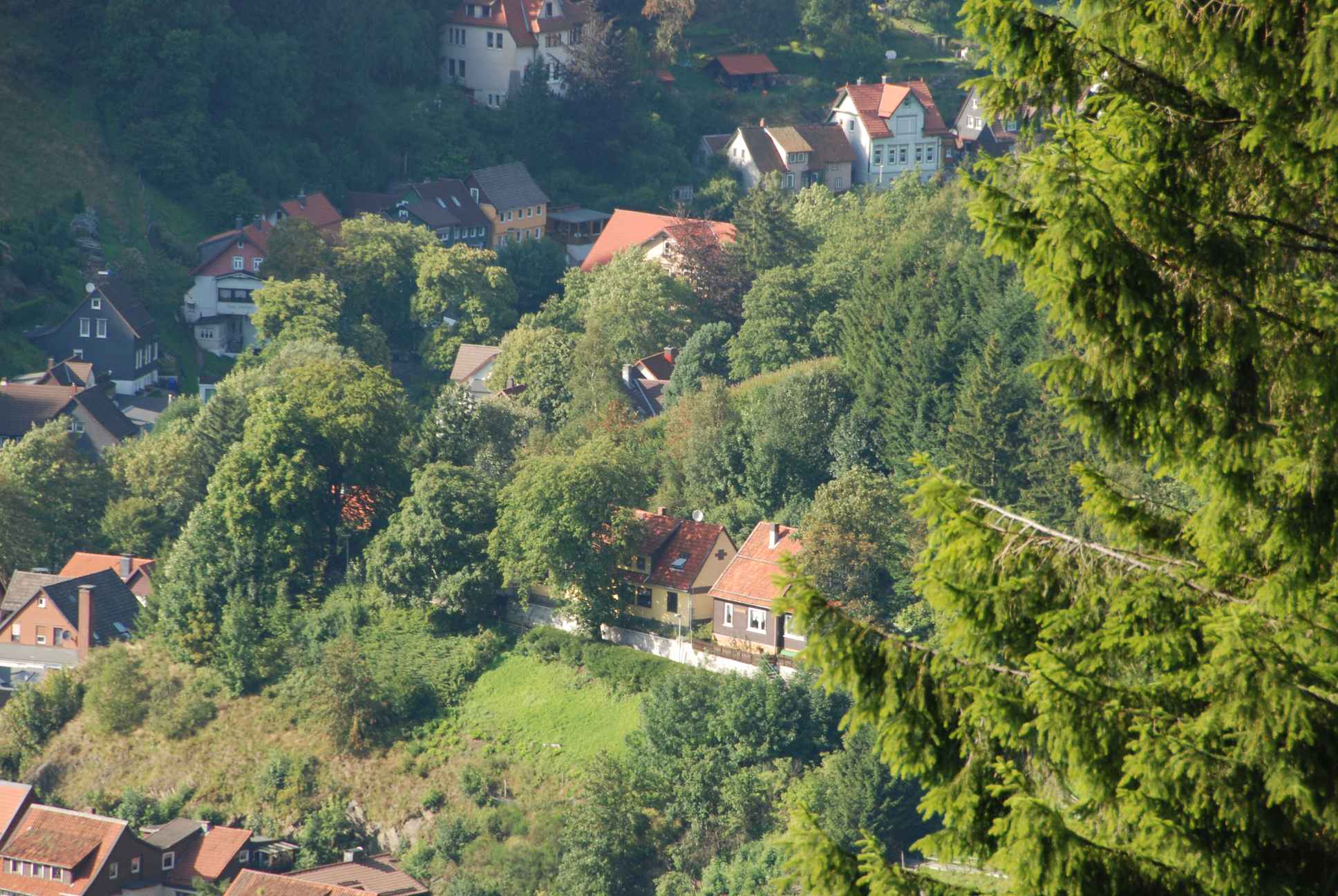 2009-08-15_ntb_5026