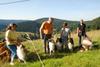 2009-08-15_ntb_5029