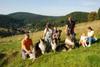 2009-08-15_ntb_5032