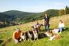 2009-08-15_ntb_5039
