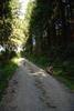 2009-08-15_ntb_5041