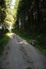 2009-08-15_ntb_5042
