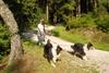 2009-08-15_ntb_5043