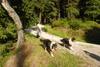 2009-08-15_ntb_5044