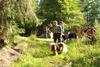 2009-08-15_ntb_5045