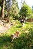 2009-08-15_ntb_5046