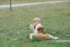 2009-08-15_ntb_5065
