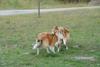 2009-08-15_ntb_5074