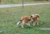 2009-08-15_ntb_5075