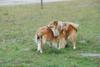 2009-08-15_ntb_5076