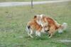 2009-08-15_ntb_5077