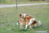 2009-08-15_ntb_5078