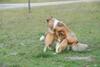 2009-08-15_ntb_5079