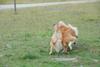 2009-08-15_ntb_5080