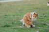 2009-08-15_ntb_5081