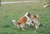 2009-08-15_ntb_5082