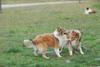 2009-08-15_ntb_5083