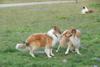 2009-08-15_ntb_5084