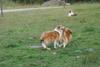 2009-08-15_ntb_5086