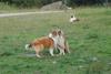2009-08-15_ntb_5087
