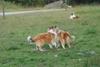 2009-08-15_ntb_5088